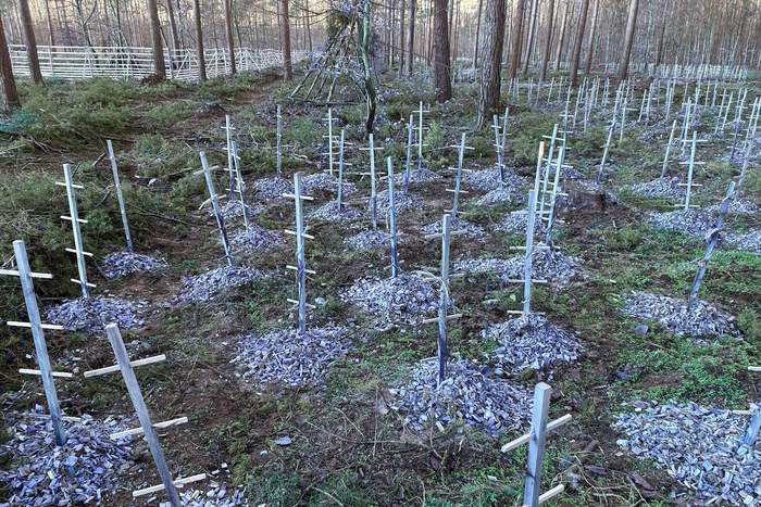 Tag der Wälder 2026: Im Kollekturwald wächst Zukunft – fünfter Umsetzungsabschnitt abgeschlossen Tag der Wälder 2026: Im Kollekturwald wächst Zukunft – fünfter Umsetzungsabschnitt abgeschlossen